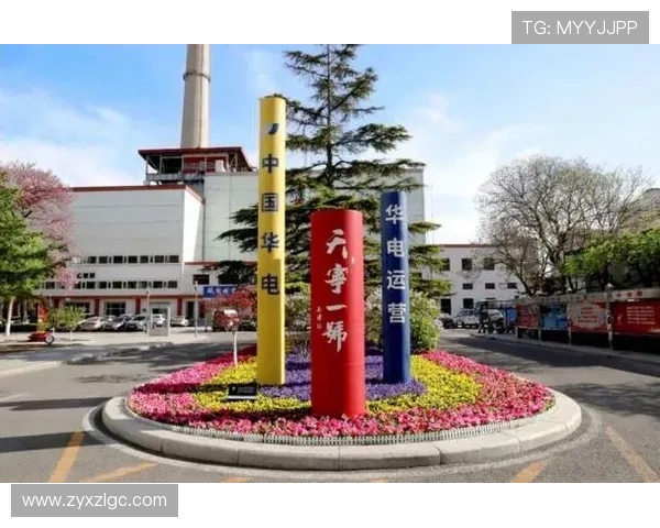 上海排球队的蜕变与挑战精英赛特别报道见证转型之路 上海排球队的蜕变与挑战精英赛特别报道见证转型之路