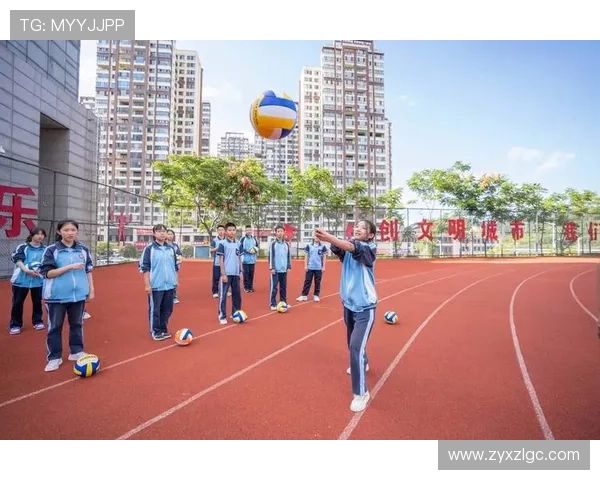 南京排球队的精神风貌与团队意识探讨与分析
